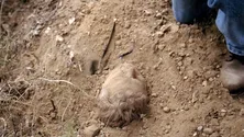 Менталист 3 сезон 1 серия, кадр 15